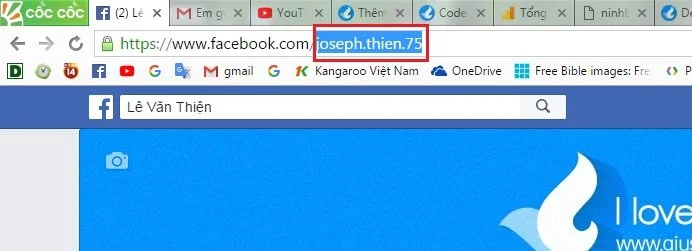 Chèn nút Chat Facebook vào website