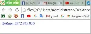 Tạo nút Hotline cho website wordpress